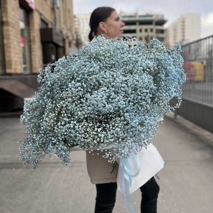 51 голубая гипсофила